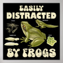 Search for vintage frog posters Amphibian