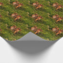 Search for nature wrapping paper Wildlife