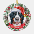 Search for mountain ornaments Watercolor