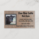 Search for farm animal business cards Meat