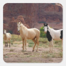 Search for indian stickers Usa