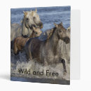 Search for horse photo binders Ocean