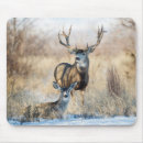 Search for deer gifts Buck