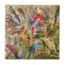 Search for parrot tiles Wildlife