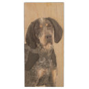 Search for dog usb flash drives Puppy