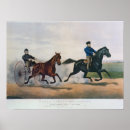 Search for vintage horse posters Black