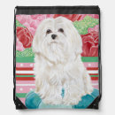 Search for maltese bags Pets
