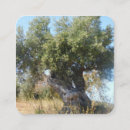 Search for olive tree business cards Retail