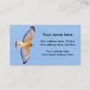 Search for hawk business cards birds of prey