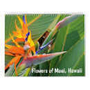 Search for flowers calendars Travel
