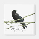 Search for funny crow saying Bird