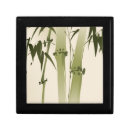 Search for bamboo gift boxes Branch