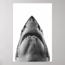 Search for portrait posters Ocean