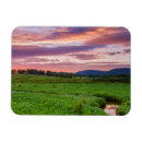 Search for west virginia magnets Jay o'brien