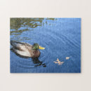 Search for mallard duck puzzles Nature
