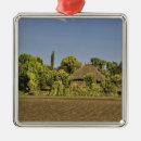 Search for roofing ornaments House