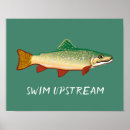 Search for trout posters Fish