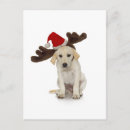 Search for cutouts christmas cards Antlers