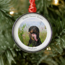 Search for family with dog ornaments Cute