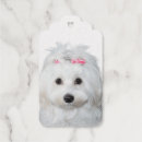 Search for angel gift tags Cute