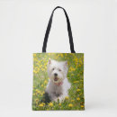 Search for dog bags Canine