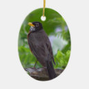 Search for robin ornaments Animals