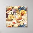 Search for seashells sea shells canvas prints Beach
