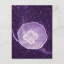Search for transparent postcards Ocean