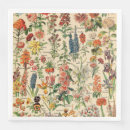 Search for paper napkins Garden