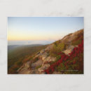Search for acadia national park postcards View
