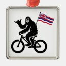Search for hawaii ornaments Oahu