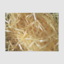 Search for easter tissue paper Cute