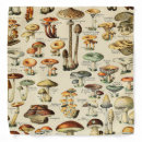 Search for food bandanas Vegetable