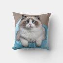 Search for ragdoll cat gifts Meow