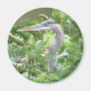 Search for great blue heron gifts Avian