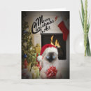 Search for ragdoll cat christmas cards Cats