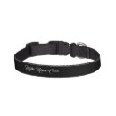 Search for cat collars harnesses Feline