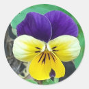 Search for pansy flower stickers Summer