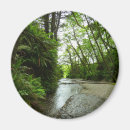 Search for redwood national park magnets Landscape