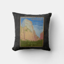 Search for vintage national park pillows Retro