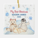 Search for holiday polar bear ornaments Watercolor