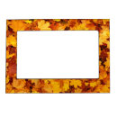 Search for orange picture frames Fall