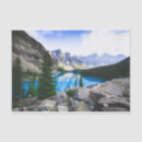 Search for mountain tissue paper Pine