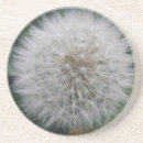 Search for weed gifts Nature
