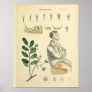 Search for vintage dental posters Medical