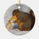 Search for squirrel ornaments Nature