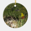 Search for yellow butterflies ornaments Nature