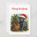 Search for pitbull christmas cards Santa