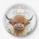 Search for cow plates Baby shower
