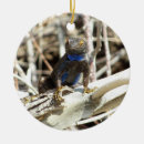 Search for fencing ornaments Black